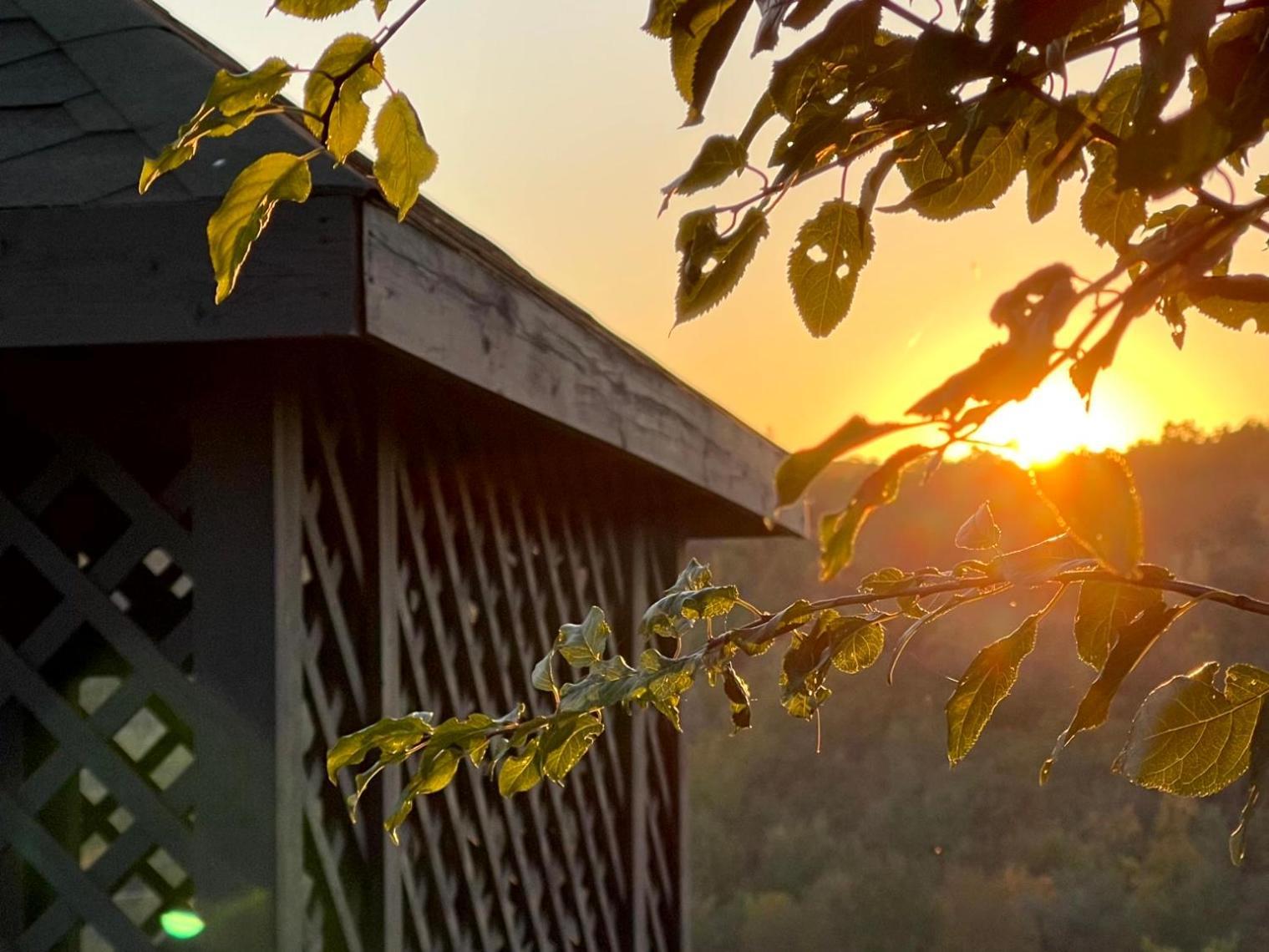 Rodynnyi Maietok Family Estate Villa Kamjanets-Podilskyj Exteriör bild